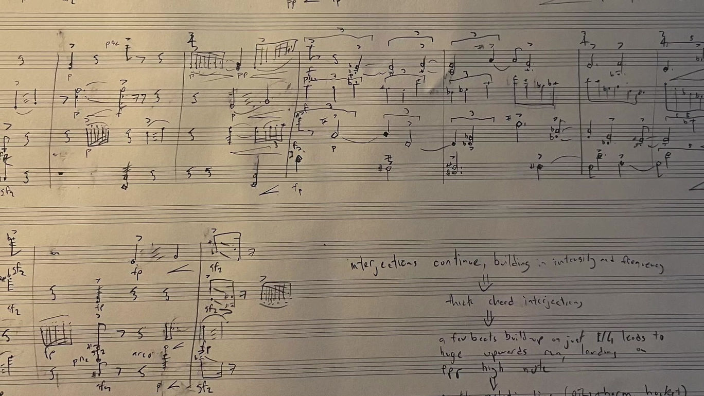 P. Novak "gardensongs" (extrait)